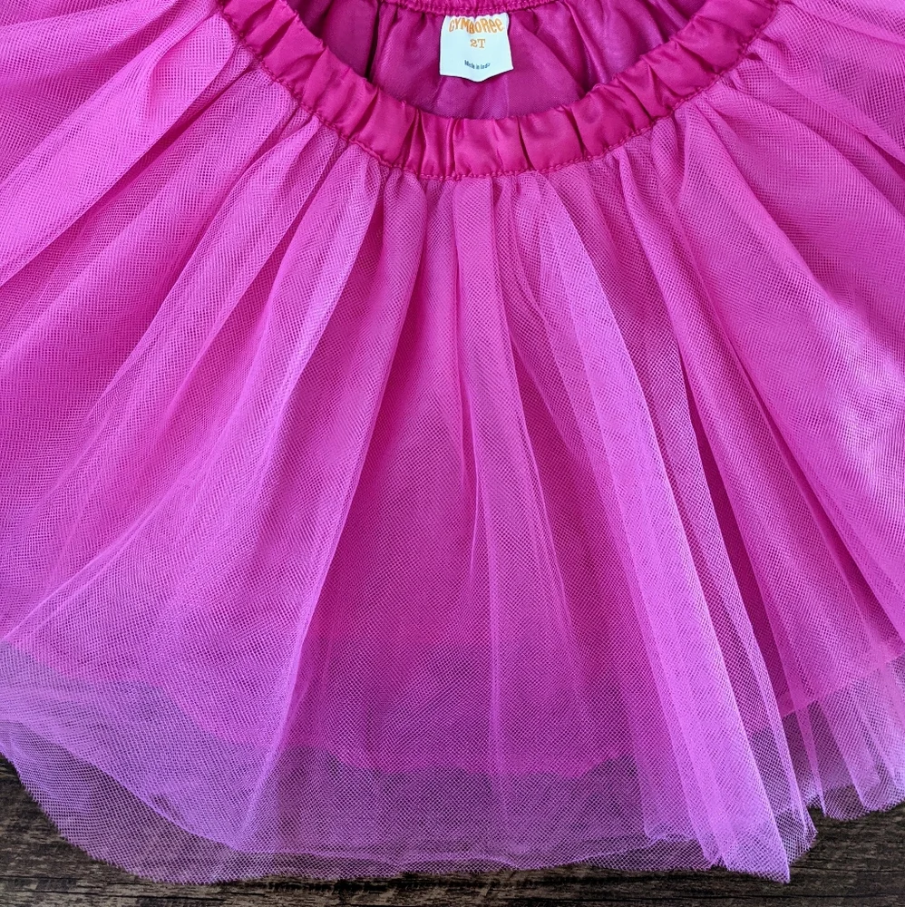 Gymboree Pink Tutu Skirt